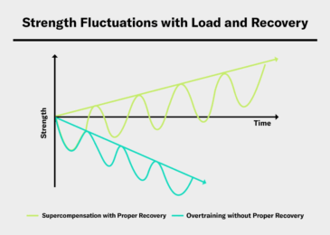 strength fluctuations with load and recovery graph